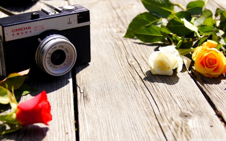 OLD CAMERA &  FLOWERS - flowers, photography, roses, camera