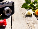 OLD CAMERA &  FLOWERS