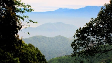 Sea of clouds - mountains, early morning, landscape, beautiful, sea of clouds