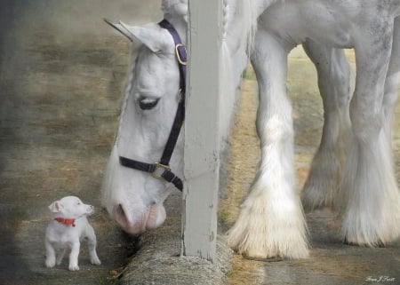 Sparky and sterling - pets, cute, puppy, horse, pat, animals