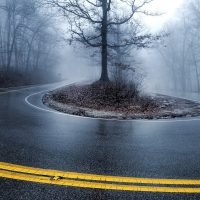 Foggy U Turn