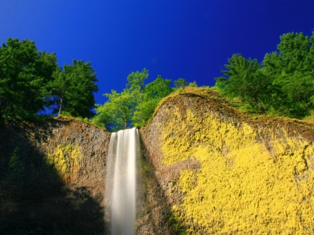 waterfalls - waterfalls, tree, forest, river