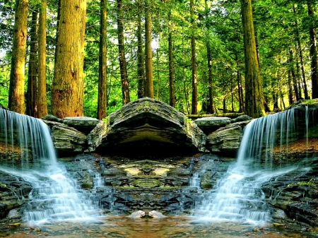 waterfalls - waterfalls, tree, forest, river