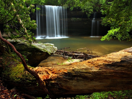 Caney Creek Falls, Alabama - Trees, Log, Nature, Waterfalls