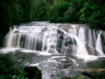 Coal Creek Falls, New Zealand