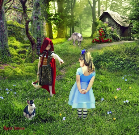 Red Riding hood meets alice in wonderland - girls, redriding, fantasy, wolf, garden, alice