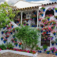 Cordoba's Secret Garden