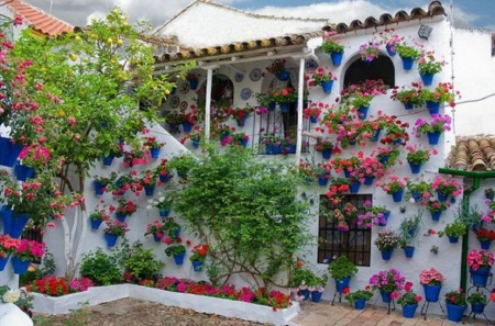 Cordoba's Secret Garden - secret garden, patio, cordoba, flowers