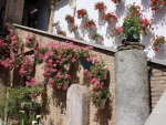 Cordoba's Secret Garden