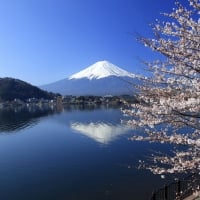 Mountain Fiji in Japan