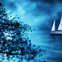 âœ«Sailing Peaceâœ«