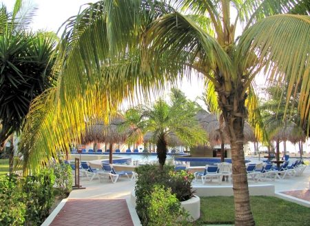 Pathway To Relaxation - relaxation, vacation, ocean, path, nature, tropical, pool, mexico, palm tree, walkway