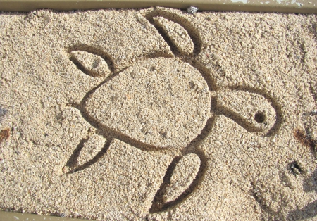 Sand Turtle - vacation, nature, ocean, beach, abstract, turtle, animal, sand