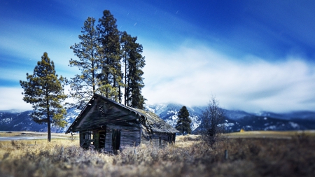 deserted homestead in focus - deserted, mountains, focus, trees, cabin