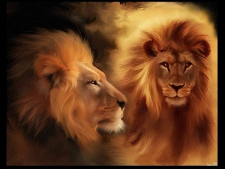 lion - art, king, lion, animals