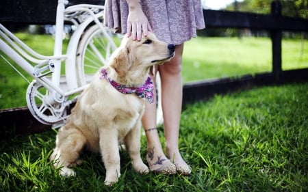 My Dear Friend - girl, dog, animal, bicycle, grass, friend