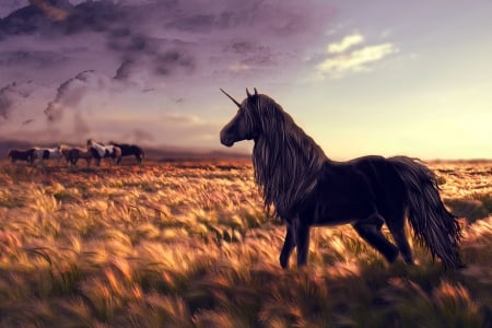 Fanta$y creature - animated, horse, creature, animal, field, fantasy, unicorn