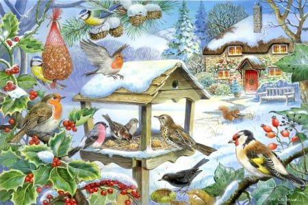 WINTER FEEDING - winter, feeders, snow, birds