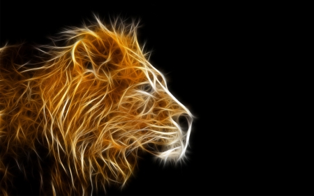 lion - hd, background, lion, 3d