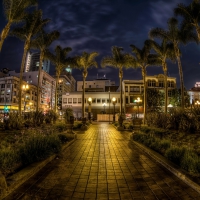 palms in outside mall in san diego