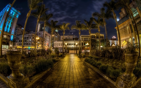 palms in outside mall in san diego - fish eye, trees, lights, mall, night