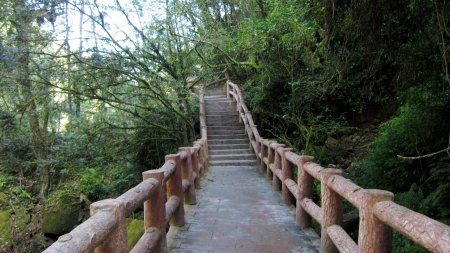 Mountain trail - tree, mountain, trail, green