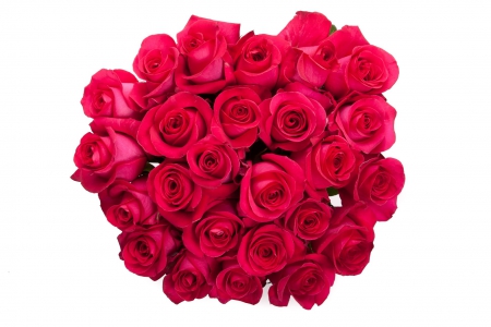 a Hot Pink Bouquet - pink, cool, rose, pretty