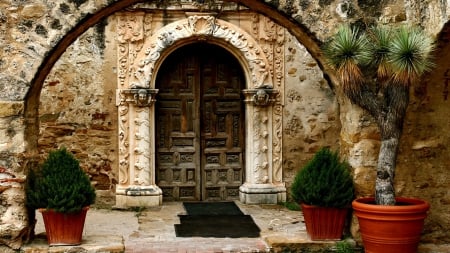 wonderful mission door entrance - plants, door, stone, entrance