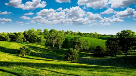 marvelous green hills - clouds, hills, grass, trees