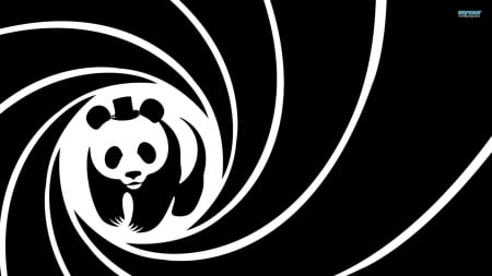 Vector panda bear - panda, bear, abstract, vector