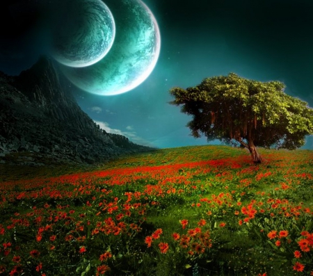 Far Far Away - moon, field, fantasy, trees