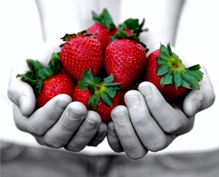 Sweet strawberries - hands, colors, sweet, red