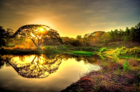 Amazing Sunset - sky, lake, reflection, sun, mirror, tree