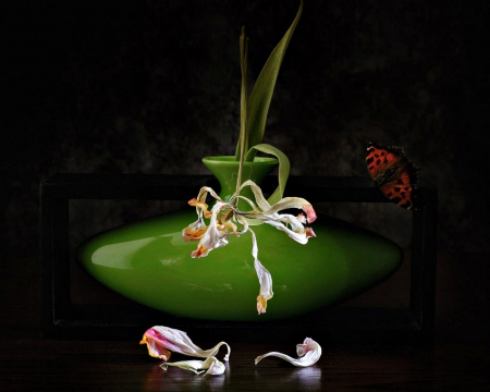 Still life - flowers, jar, still life, butterfly