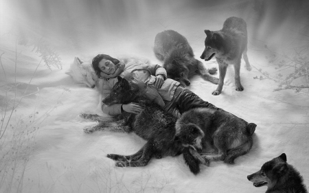 In harmony with nature - wolf, photography, project, harmony, black, white, nature, kindness, animals, wild