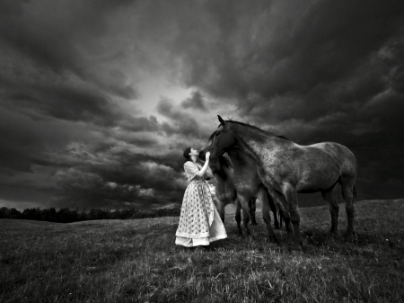 Mutual affection - white, horse, photography, animals, bw, black