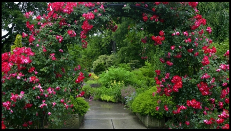 Secret Garden - flowers, secret, nature, garden