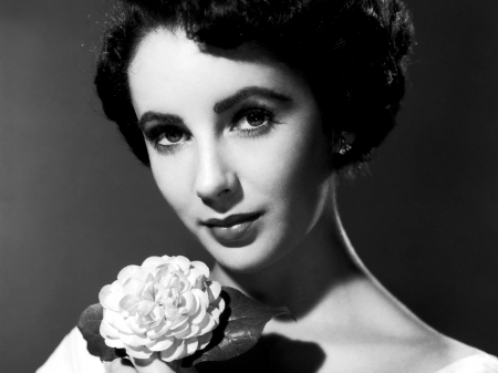 Elizabeth Taylor - beauty, woman, actress, girl, elizabeth taylor, black and white, flower