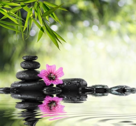 SPA - stone, relaxing, pink, spa, flower