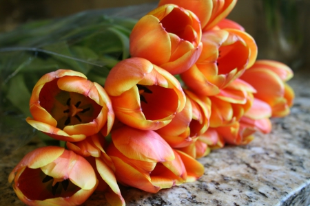 Orange Tulips - tulips, nature, stem, bunch, orange, flower, petals