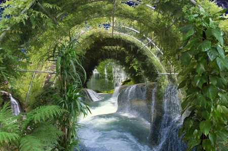 Path to Waterfall - plants, water, fern, rocks