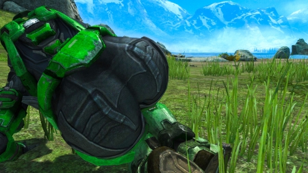 Look at this... blue sky ! - booty, female, spartan, blue, Halo, grass, reach, sky