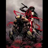 Wolverine And Elektra