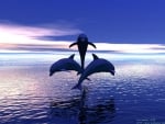 3 Dolphins Jumping out of the Water