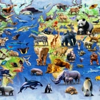 World Map Of Endangered Species