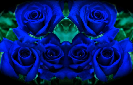 Blue Roses Collage For My Friend Carol - nature, beauty, abstract, collage