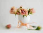 still life with pink roses