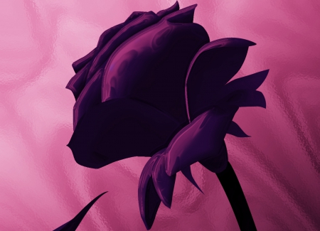 Dark Purple Rose - rose, beauty, pink, fantast