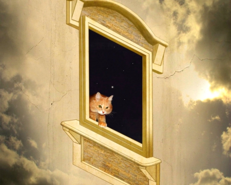 Window in the sky - abstract, aky, window, art, cat, animals