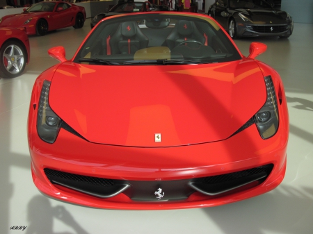 Red Ferrari - Ferrari, black, Red, photography